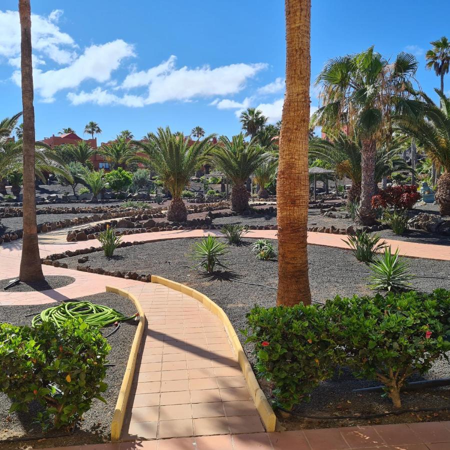 Appartamento Oasis Royal F217 Corralejo Esterno foto
