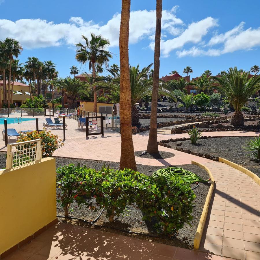 Appartamento Oasis Royal F217 Corralejo Esterno foto